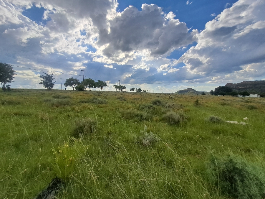 0 Bedroom Property for Sale in Rosendal Free State